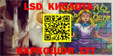 гидра Новозыбков