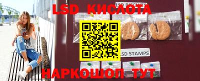 гидра Новозыбков