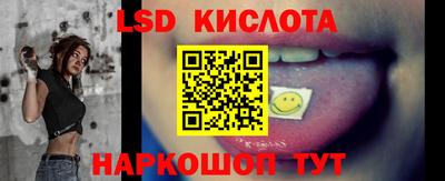 гидра Новозыбков