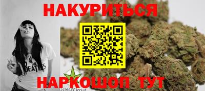 гидра Новозыбков