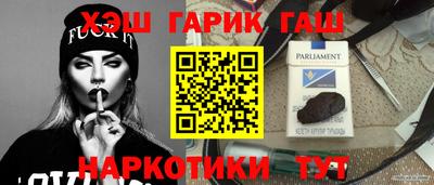 гидра Новозыбков