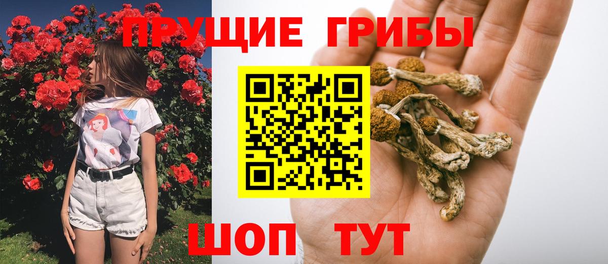 Галлюциногенные грибы Magic Shrooms  Вход с VPN  купить   Ухта 