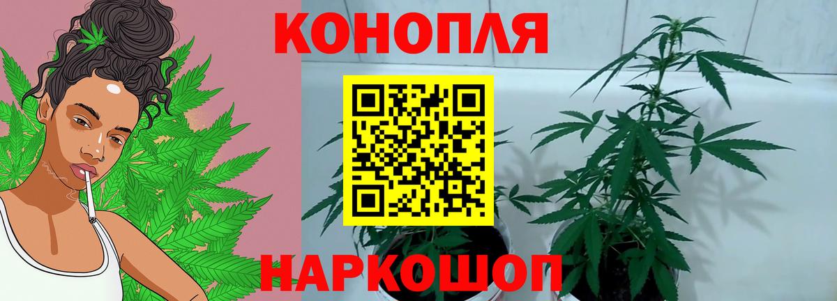МАРИХУАНА Amnesia  Конопля White Widow  Ухта  Вход с VPN 